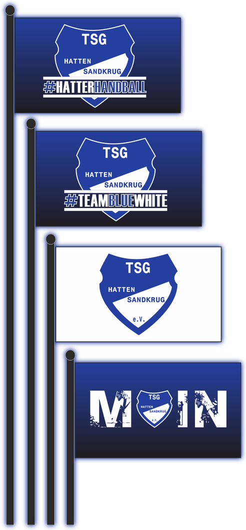 Flag "MOIN" & "BASIC" & "TEAMBLUEWHITE" & "HATTERHANDBALL" - Art-Nr. TSGHS-070